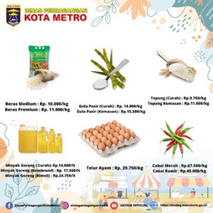 UPDATE HARGA BARANG POKOK DI KOTA METRO