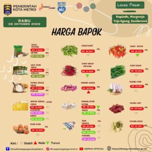 UPDATE HARGA BARANG POKOK DI PASAR KOTA METRO
